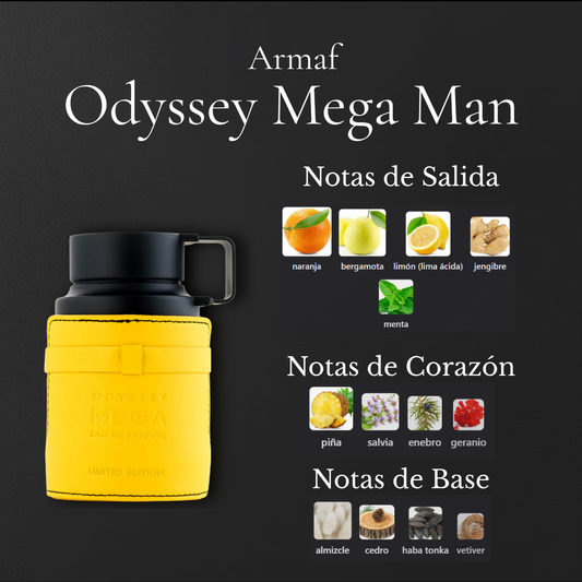 Odyssey Mega Man
