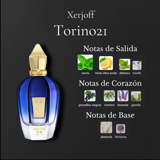 Torino21