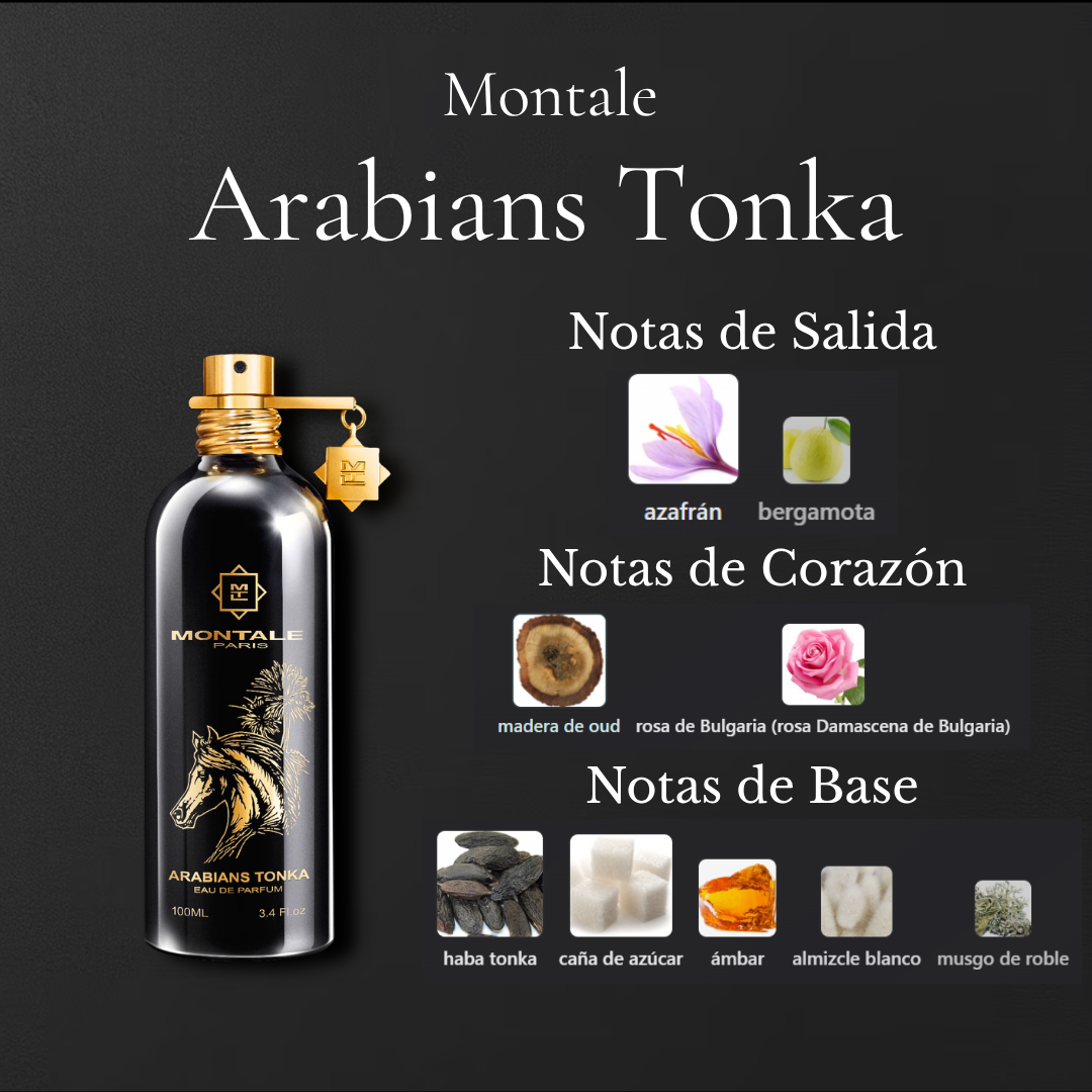 Arabians Tonka