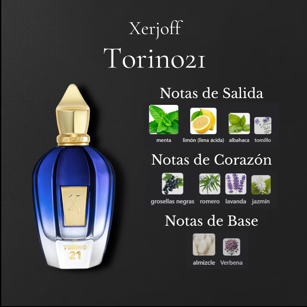 Torino21