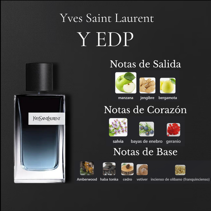 Y EDP