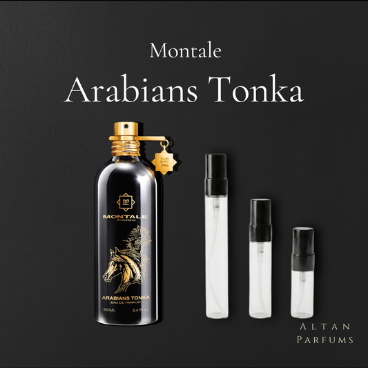 Arabians Tonka
