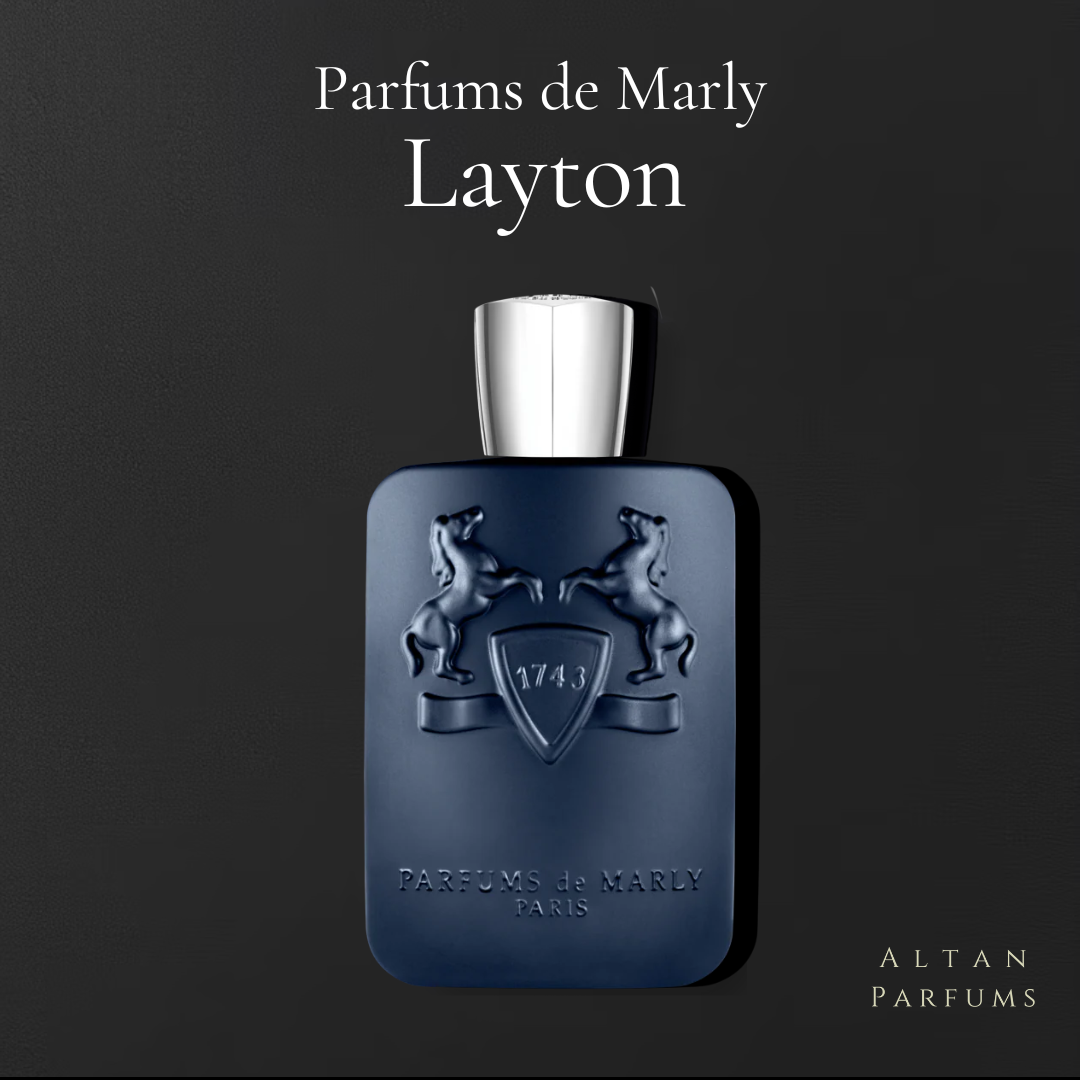 𝐋𝐚𝐲𝐭𝐨𝐧