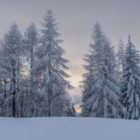Invierno
