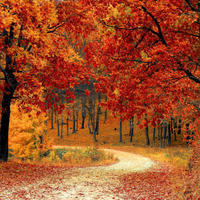 Otoño