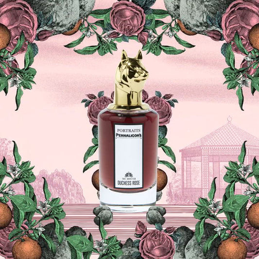 The Coveted Duchess Rose