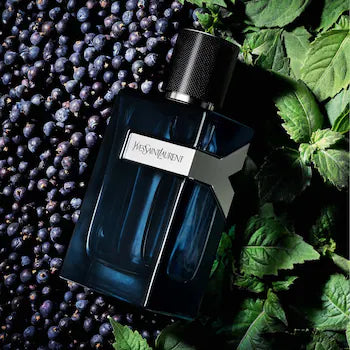Y EDP Intense